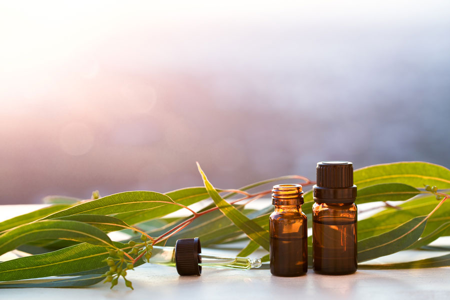 A beginner's guide to essential oils