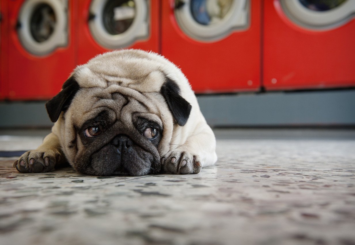 Is your laundry powder making you crazy itchy?